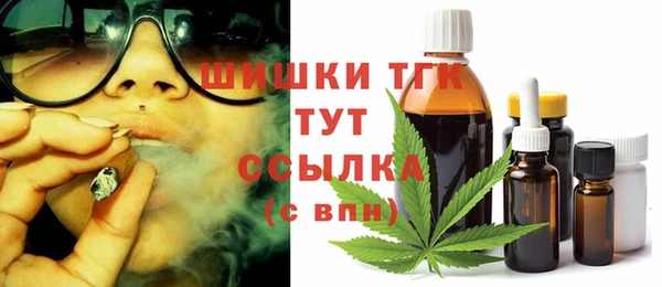 индика Галич