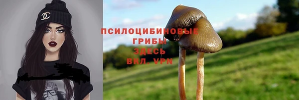Альфа ПВП Новозыбков