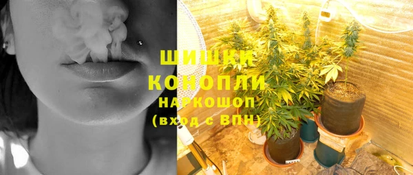 Альфа ПВП Новозыбков