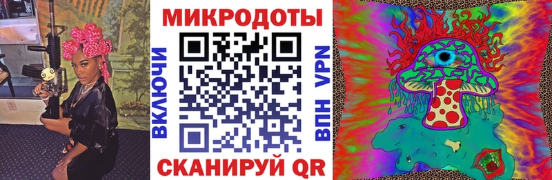 Купить закладки  Камышлов  Галлюциногенные грибы ЛСД 